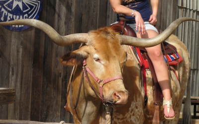 texas2015 079